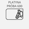 Platyna próby 600